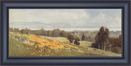 framed  unknow artist California landscape, Ta3139-1